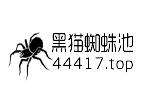 石家庄网站推广